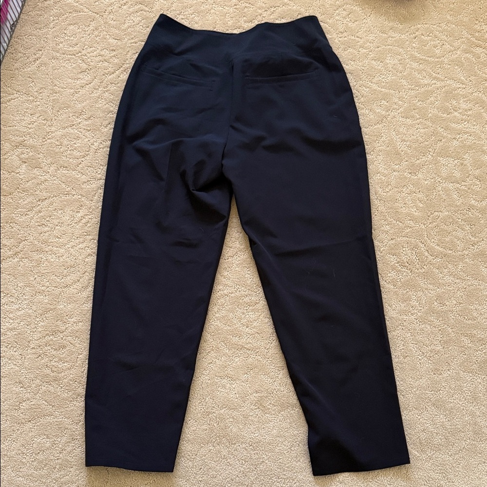 Endless Cropped Pants - image 3